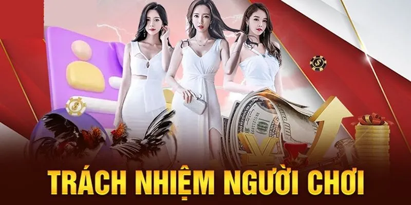 Thành viên chủ động tuân thủ chính sách miễn trách nhiệm của 23Win